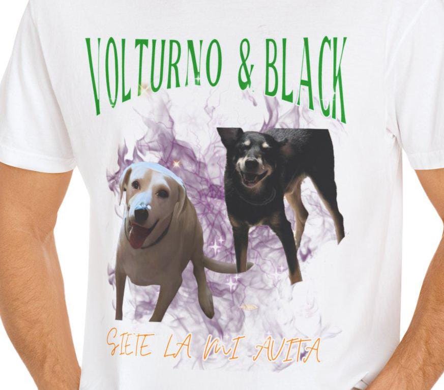 Stylish Pet Lover T Shirt Unique Dog Tee Gift For Animal Lovers Casual Unisex Top Birthday Present Everyday Comfort Outfit Funny Dog Graphic