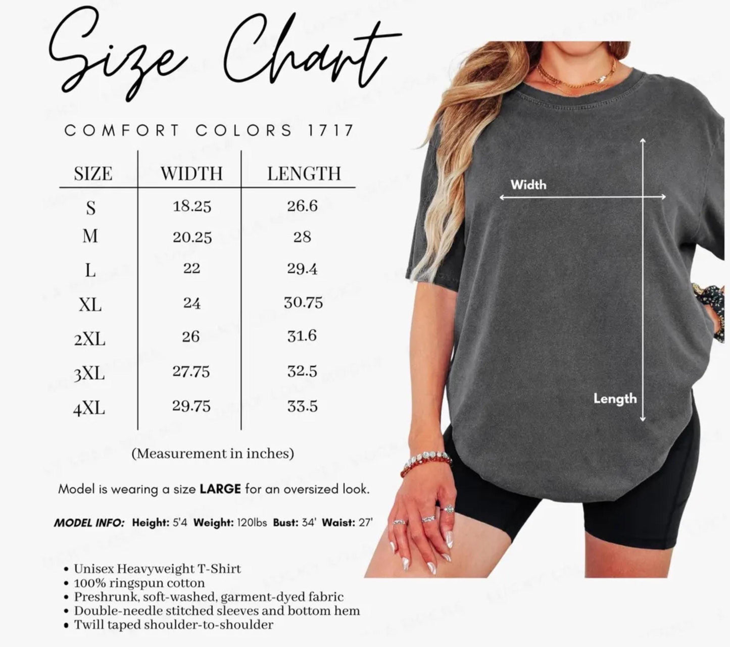 sarcastic gift for adults ,derail me gently t-shirt with locomotive design, vintage train art tee in unisex fit and retro style