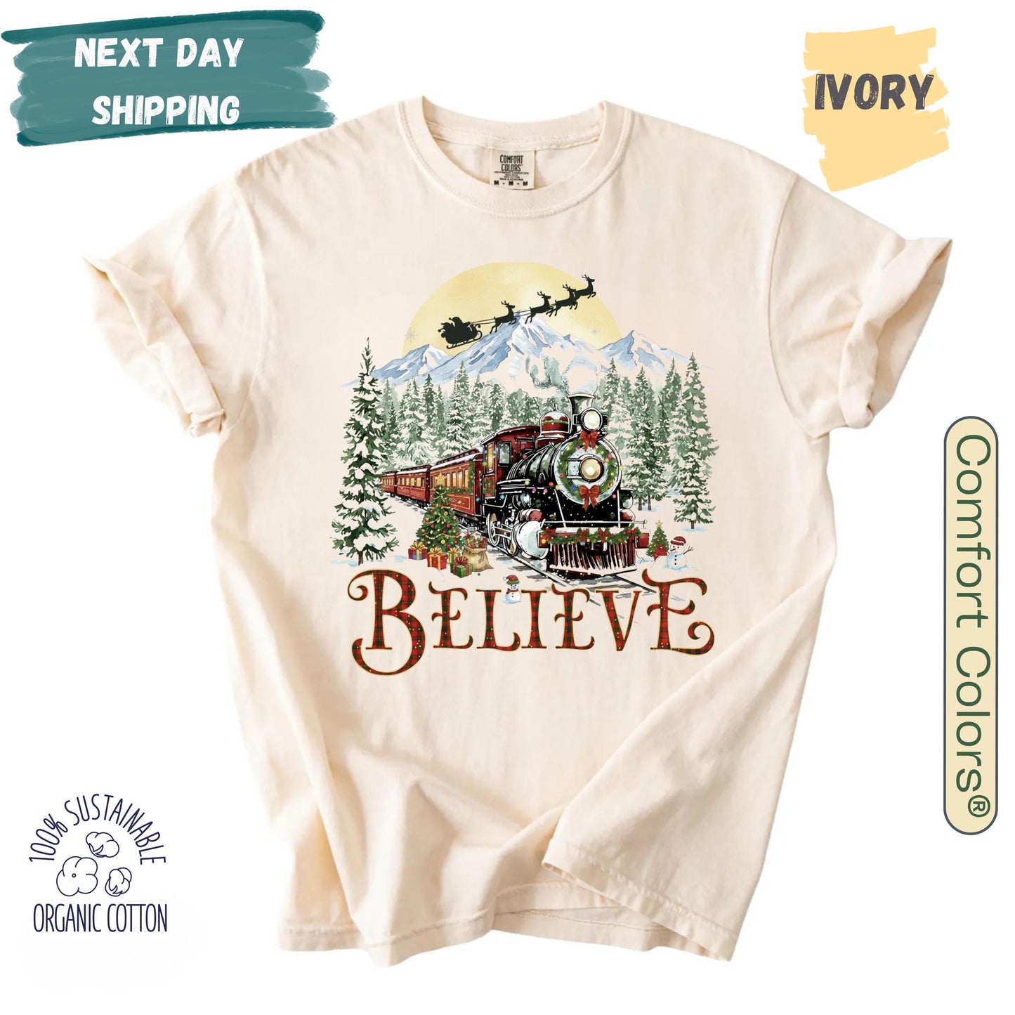 Believe in Christmas Sweatshirt, Polar Express T-shirt, Holiday Gift Ideas, Merry Christmas Tee, Aboard Hoodie Xmas