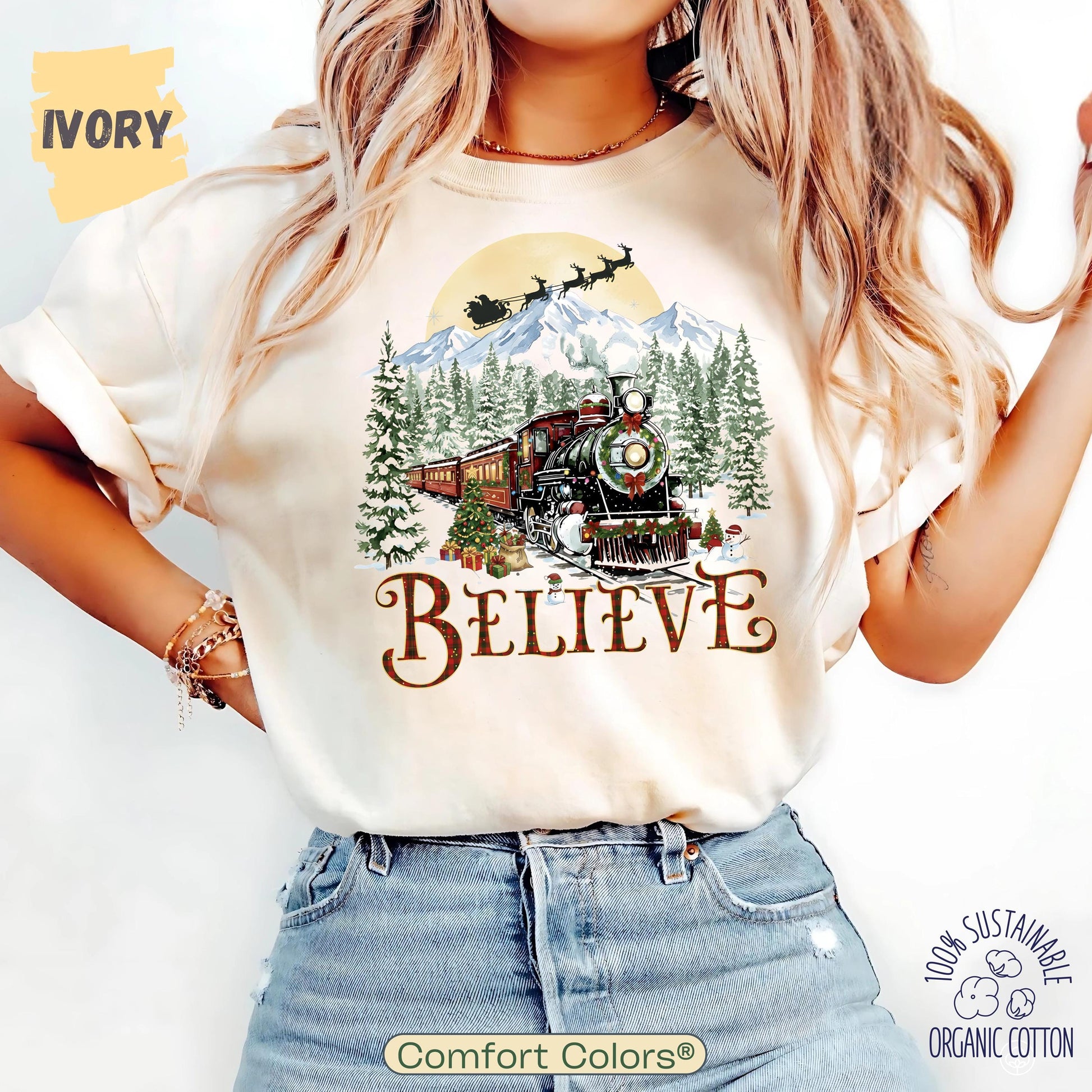 Polar Express shirt , Christmas Gift, Christmas Believe Sweater, Merry Christmas T-Shirt, Gift Ideas, All Aboard Polar Express, Hoodie Xmas