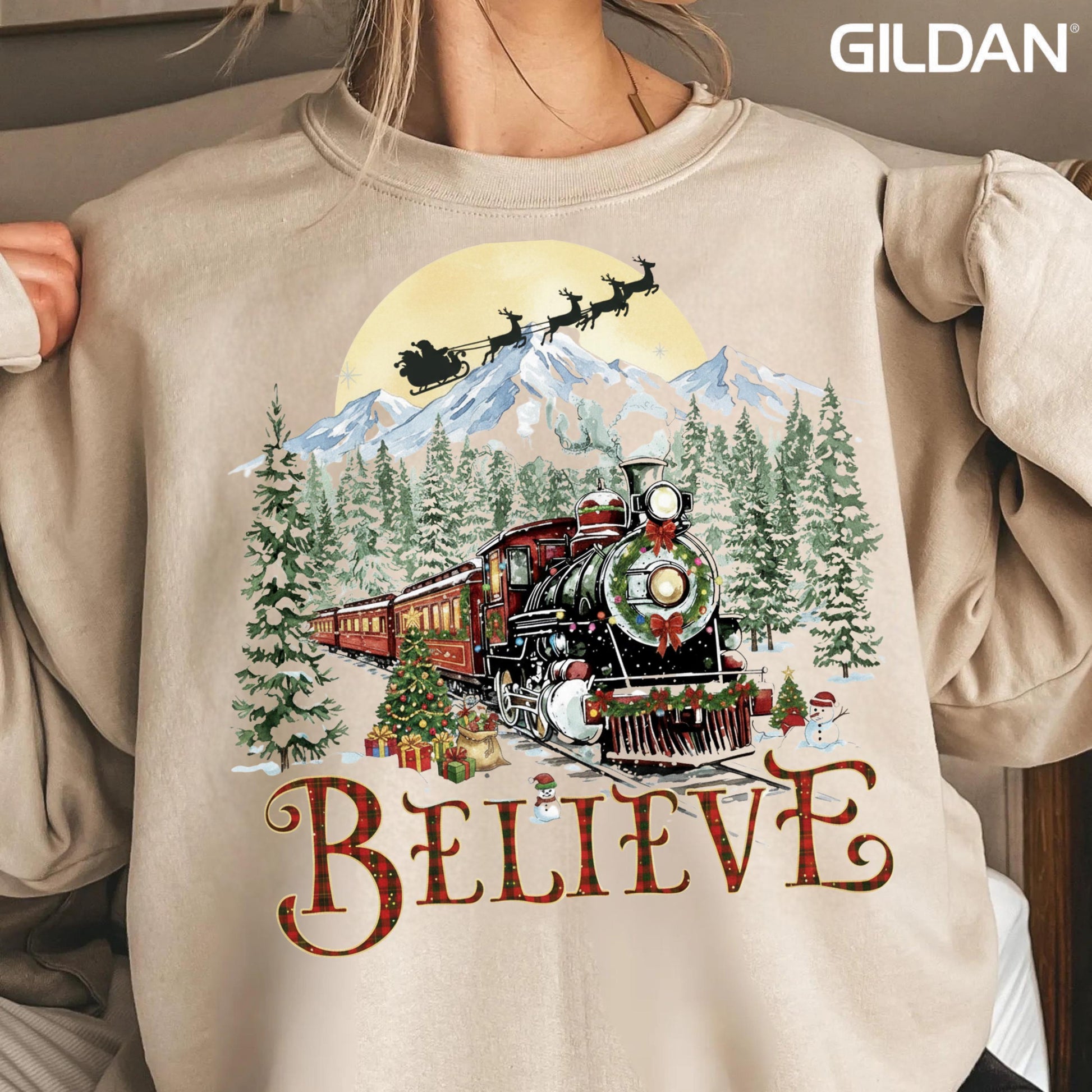 Believe in Christmas Sweatshirt, Polar Express T-shirt, Holiday Gift Ideas, Merry Christmas Tee, Aboard Hoodie Xmas